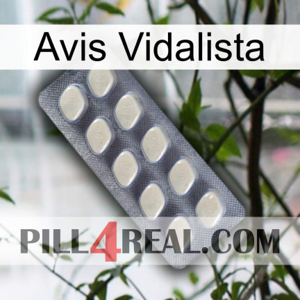 Vidalista Avis 08